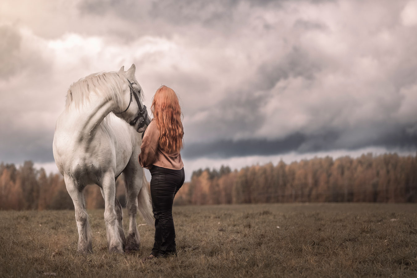 Hevoskuvaus Henna Ikonen Varkaus.