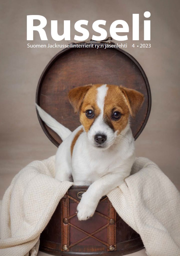 Lehtikuvaus Henna Ikonen.