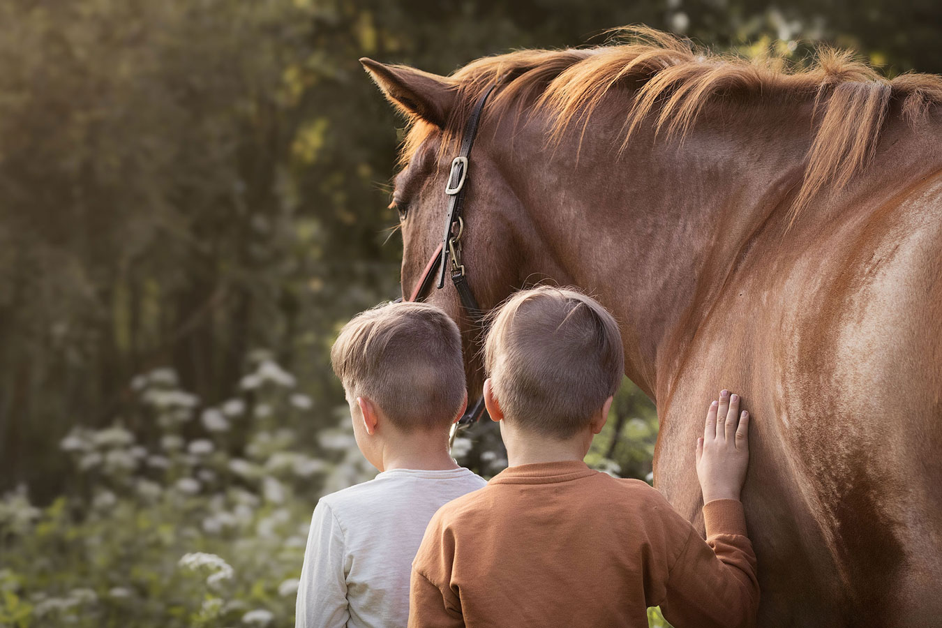 Miljöökuvaus kesällä Valokuvaaja Henna Ikonen.