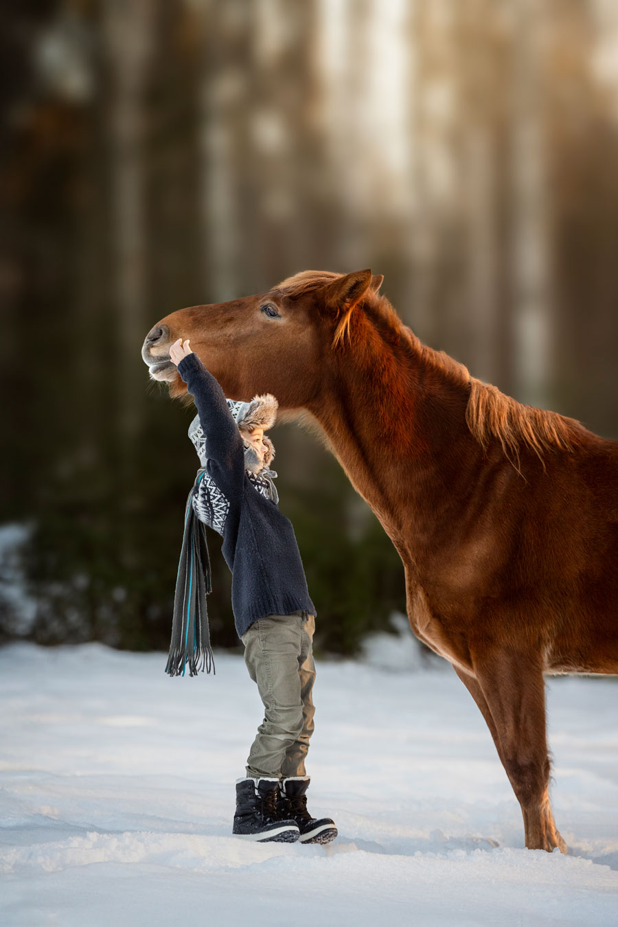 Poika ja hevonen miljöökuvaus talvella valokuvaaja Henna Ikonen.