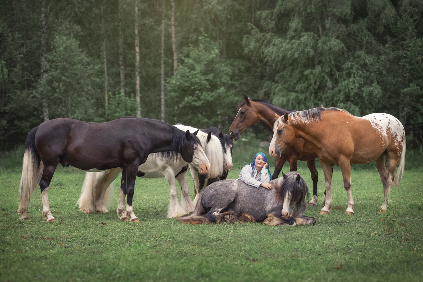 Hevoskuvaus miljöössä Valokuvaaja Henna Ikonen Varkaus.