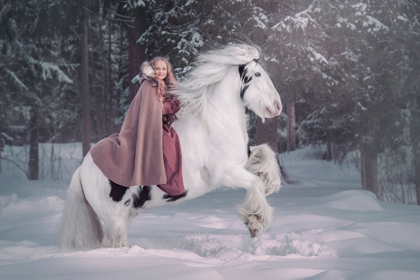 Hevoskuvaus talvella Valokuvaaja Henna Ikonen.